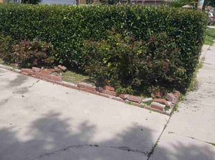 Bush Trimming by William Aguilar for Sharon A. in Compton, CA