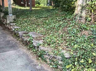 Cleanups by Caleb Patton for Christopher H. in Cincinnati, OH
