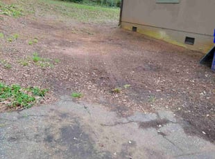 Cleanups by Daniela Budu for Lasheka C. in Greenville, SC