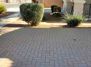 Victoria M.'s Leaf Removal service result