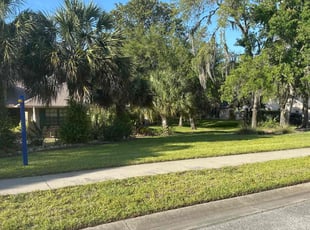 Joseph M.'s Yard Cutting service result
