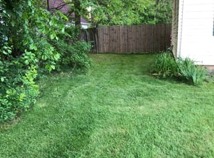Cleanups by Matthew Bobbio for Mohamed A. in East Lansing, MI