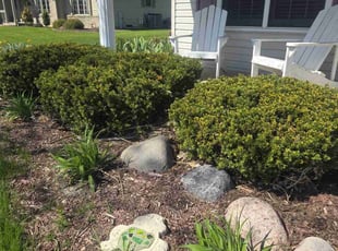 Bush Trimming by Ronnie Anderson for James S. in Oak Creek, WI