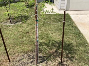Cleanups by Fredrick Miller for Sarah H. in San Antonio, TX