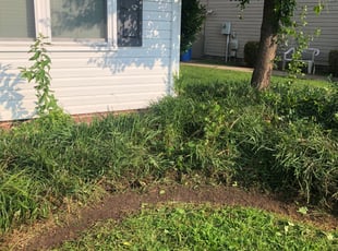 Weeding by Valera Swearngin for Aziz G. in Chesapeake, VA