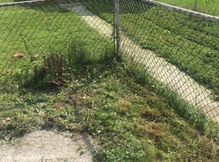 Cleanups by Lavelle Jackson for Tim D. in West Allis, WI