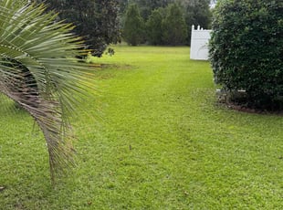 Amos S.'s Lawn Care service result