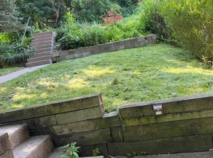 Stephen H.'s Grass Cutting service result