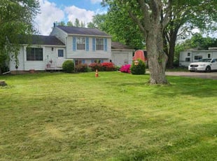 Wayne P.'s Lawn Care service result