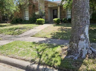 Cleanups by Ernest Howard for Ben W. in The Colony, TX