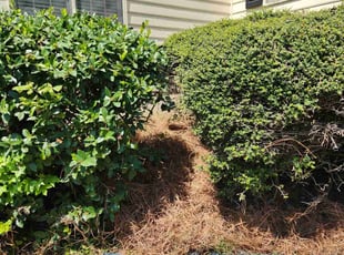 Landscaping by Bryan Bucklew for Cherie C. in Lawrenceville, GA