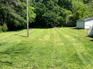 Jeanette W.'s Lawn Service service result