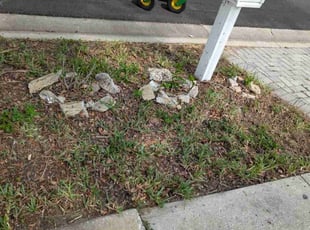 Leaf Removal by John Murtagh for Theresa T. in Port Richey, FL