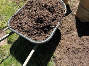 Cleanups by Alexis Campbell for Wendy S. in Roseville, MN