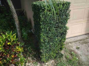 Bush Trimming by Willie Carmichael for Katreena C. in Ocoee, FL