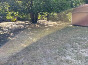 Cleanups by Elvis Pintado for Elizabeth B. in Tampa, FL