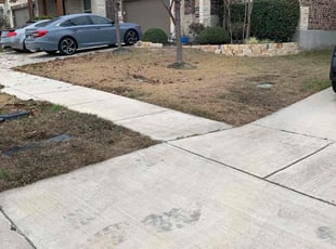 Leaf Removal by Andrew Garza for Adrian M. in San Antonio, TX