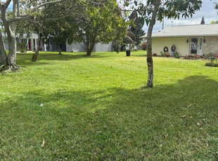 Nick M.'s Lawn Care service result