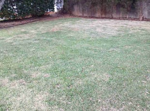 Leaf Removal by Joshua Walker for Judy G. in Tucker, GA