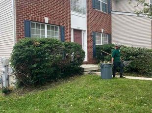 Bush Trimming by Maranda Distance for Isaac J. in Abingdon, MD