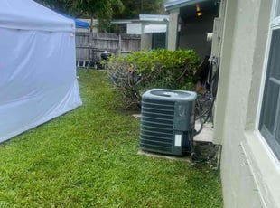 Andre s.'s Bush Trimming service result