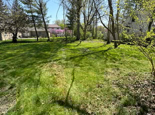 Cleanups by Luis Contreras for Paula J. in Indianapolis, IN