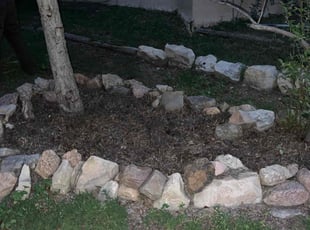 Weeding by Jovi Mardorf for Adana D. in Colorado Springs, CO