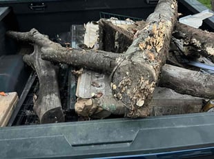 Cleanups by Will Currin for Tarik W. in Concord, NC