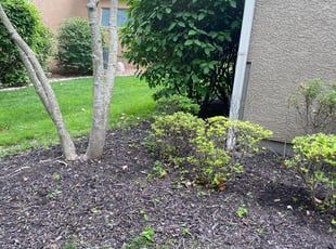 Cleanups by Bryan Fletcher for Tracey N. in Parkville, MO