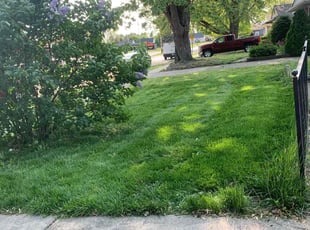 Cleanups by Kyle Yacko for Charitee S. in Roseville, MI