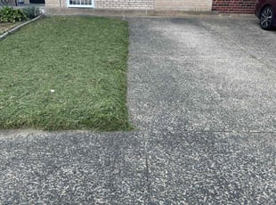 Gladys P.'s Lawn Mowing Service service result