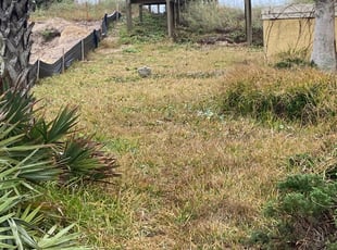 Cleanups by Brandon Creeden for Natalie M. in Palm Coast, FL