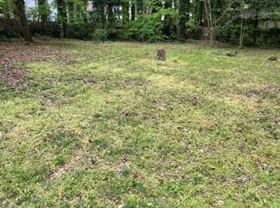 Leaf Removal by Walt Evans for Brandi W. in Jonesboro, GA