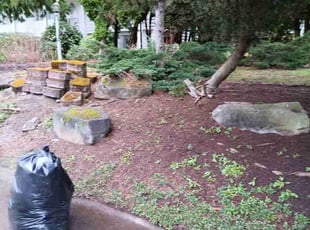 Leaf Removal by Robert Martin for Jennifer K. in Lynnwood, WA