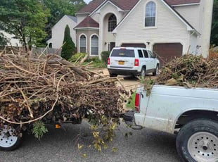 Leaf Removal by Charlie Burns for Chriss E. in Suffolk, VA