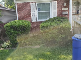 Bush Trimming by Nick Ward for Renard S. in Baltimore, MD