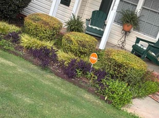 Kimberly J.'s Bush Trimming service result