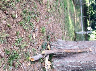 Cleanups by William Cash for Debbie W. in Clarkston, GA