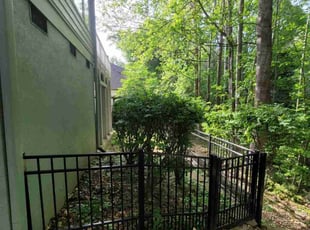 Bush Trimming by Clyde Scotton for Christopher H. in Chapel Hill, NC