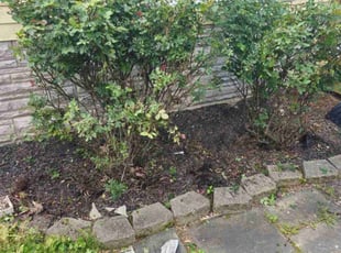 Bush Trimming by Brian Franz for david s. in Paeonian Springs, VA