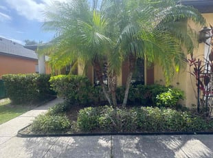 Terry W.'s Bush Trimming service result