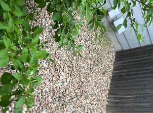 Cleanups by Jesse Nunez for Frank R. in Aurora, CO