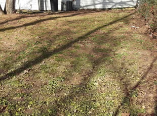 Leaf Removal by Hugo lopez for Melina C. in Marietta, GA