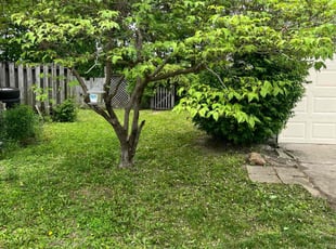 Cleanups by James Lewis for Charles A. in Indianapolis, IN