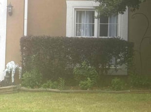 Bush Trimming by Ethan Wright for Shante L. in Kennesaw, GA