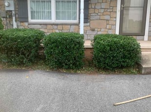 Bush Trimming by Francisco Hernandez for Shanell B. in York, PA