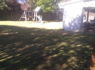Leaf Removal by Devonn Ford for Brian R. in Southlake, TX