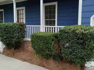 Bush Trimming by Leshawn Coleman for Brian R. in Raleigh, NC
