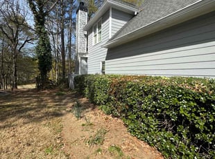 Bush Trimming by William Perez for Sharmin S. in Suwanee, GA