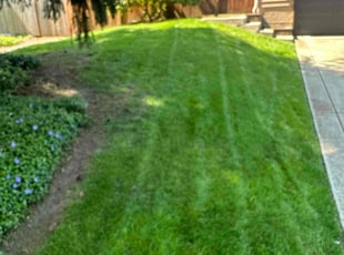 Joe C.'s Lawn Service service result